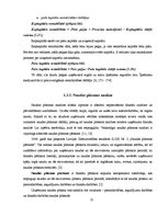 Diplomdarbs 'Uzņēmuma "XYZ" finansiālā stāvokļa novērtējums', 31.