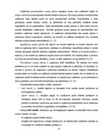 Diplomdarbs 'Uzņēmuma "XYZ" finansiālā stāvokļa novērtējums', 32.