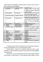 Konspekts 'Lapas uzbūve, funkcijas un veidi. Augu aizsardzībā izmantojamās sugas', 2.