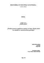 Eseja 'Tiesību pamatu apgūšanas nozīme un loma cilvēka dzīvē un saistība ar manis izvēl', 1.