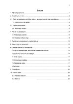 Referāts 'Biznesa plāns', 1.