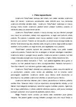 Referāts 'Biznesa plāns', 2.