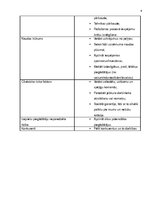 Referāts 'Biznesa plāns', 4.