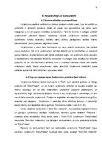 Referāts 'Biznesa plāns', 13.