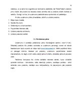 Referāts 'Biznesa plāns', 18.