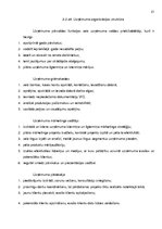 Referāts 'Biznesa plāns', 21.