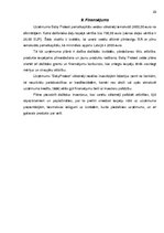 Referāts 'Biznesa plāns', 23.