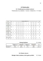 Referāts 'Biznesa plāns', 24.