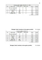 Referāts 'Biznesa plāns', 26.