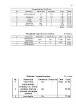 Referāts 'Biznesa plāns', 27.