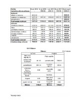 Referāts 'Biznesa plāns', 29.