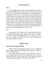 Referāts 'Raiskums, pagasta apraksts, attīstības iespējas', 6.