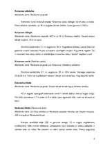 Referāts 'Raiskums, pagasta apraksts, attīstības iespējas', 8.