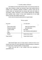 Prakses atskaite 'Sociālā gadījuma risināšanas intervence', 6.