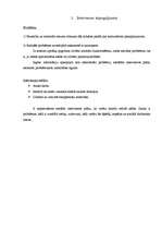 Prakses atskaite 'Sociālā gadījuma risināšanas intervence', 9.