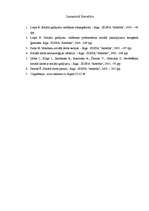 Prakses atskaite 'Sociālā gadījuma risināšanas intervence', 19.