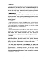 Referāts 'Birokrātijas vara un loma Latvijā mūsdienās', 6.