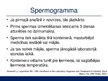 Prezentācija 'Vīriešu infertilitāte jeb neauglība', 16.