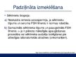 Prezentācija 'Vīriešu infertilitāte jeb neauglība', 23.