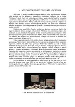 Referāts 'Dopings sportā', 15.