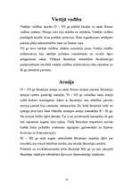 Referāts 'Bizantija', 10.