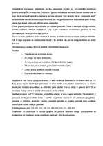 Biznesa plāns 'SIA “Logi” biznesa plāns', 7.