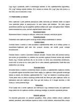 Biznesa plāns 'SIA “Logi” biznesa plāns', 10.