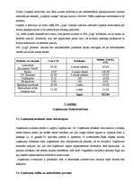 Biznesa plāns 'SIA “Logi” biznesa plāns', 13.