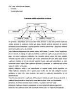 Biznesa plāns 'SIA “Logi” biznesa plāns', 14.