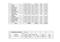 Biznesa plāns 'SIA “Logi” biznesa plāns', 19.