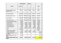 Biznesa plāns 'SIA “Logi” biznesa plāns', 29.