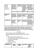 Konspekts 'Prakse sākumskolā', 4.