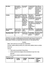 Konspekts 'Prakse sākumskolā', 5.