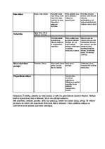 Konspekts 'Prakse sākumskolā', 6.