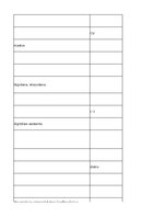 Konspekts 'Information Technology - glossary', 30.