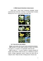 Referāts 'Baltais āmulis pasaulē un Gaviezes pagastā', 5.