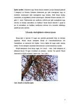 Referāts 'Baltais āmulis pasaulē un Gaviezes pagastā', 8.