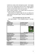 Referāts 'Baltais āmulis pasaulē un Gaviezes pagastā', 15.