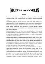 Eseja 'Muitas nodoklis', 1.