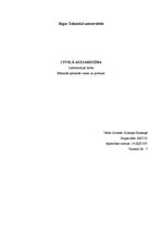 Paraugs 'Bīstamās ķīmiskās vielas un produkti', 1.