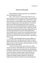 Eseja 'Statuss un lomas grupā', 1.