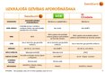 Prezentācija '"Swedbank Life Insurance SE" Latvijas filiāles darbība', 17.