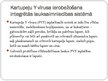 Prezentācija 'Integrētās augu aizsardzības iespējas kartupeļu sēklkopībā kartupeļu Y vīrusa ie', 7.