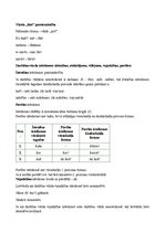 Referāts 'Latviešu valoda', 5.