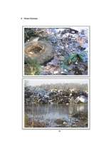 Referāts 'Ecological Problems in Latvia and in the World', 27.