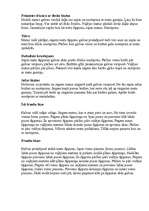 Konspekts 'Interesantiem matu sakārtojumiem - dažādas bizes', 2.