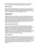 Konspekts 'Interesantiem matu sakārtojumiem - dažādas bizes', 3.