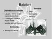 Prezentācija 'Latviešu strēlnieku bataljoni', 3.