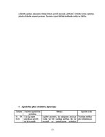 Prakses atskaite 'Aprūpes plāns torakālajā ķirurģijā', 13.