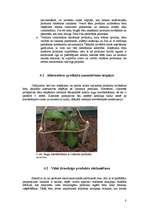 Referāts 'Pildspalvas dzīves cikls', 8.